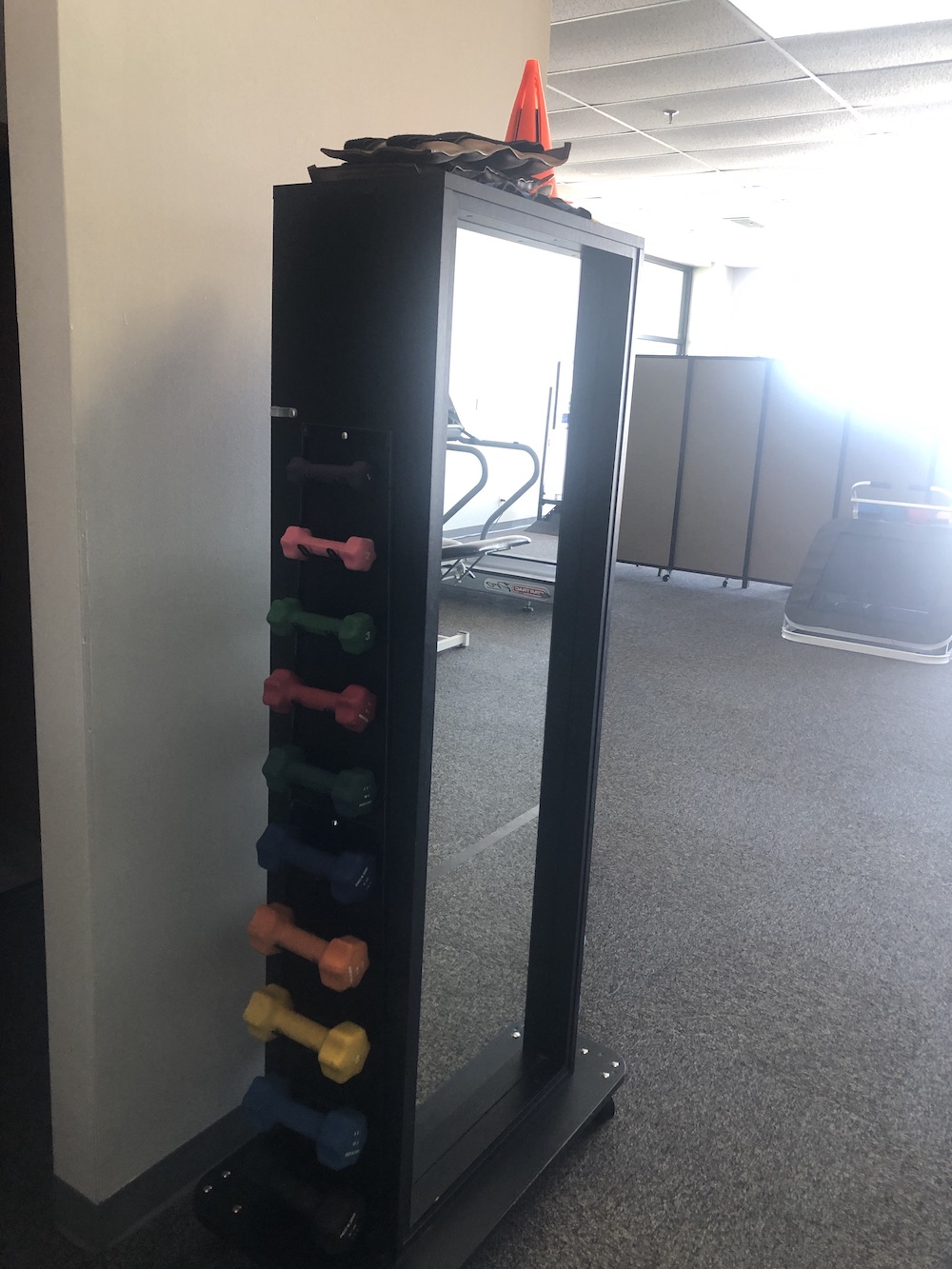 MOBILE COMBO WEIGHT RACK W/ MIRROR